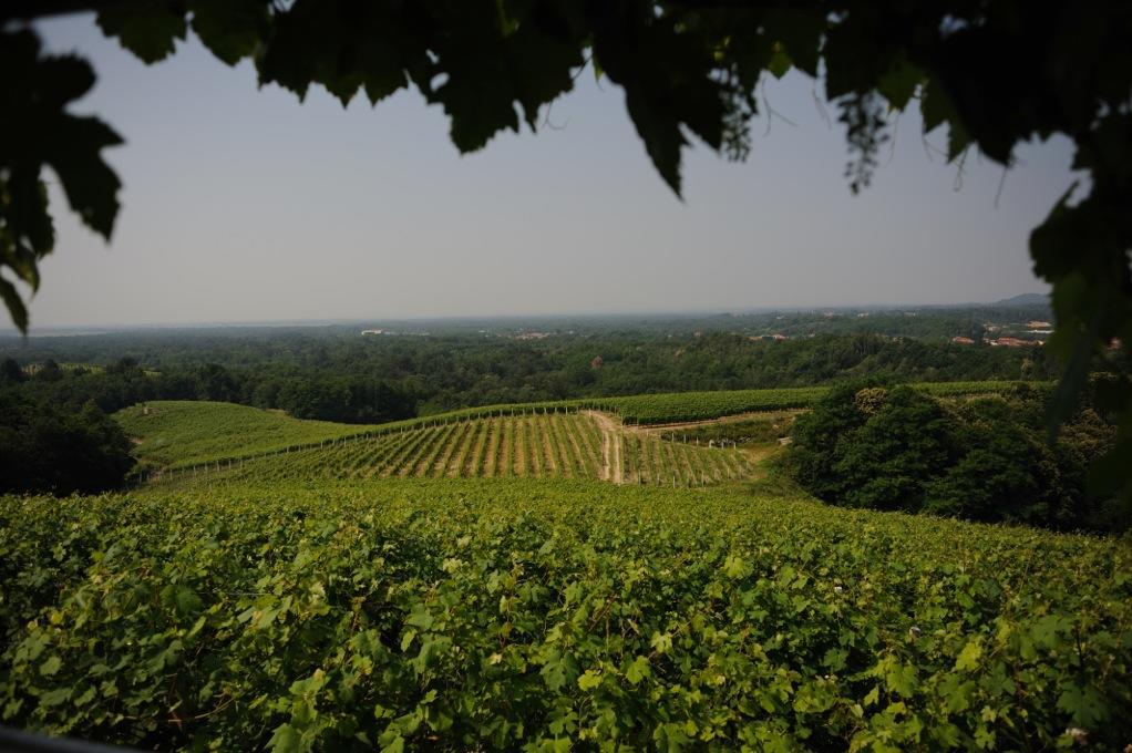 Locanda Villa Cavalleri Gattinara Buitenkant foto